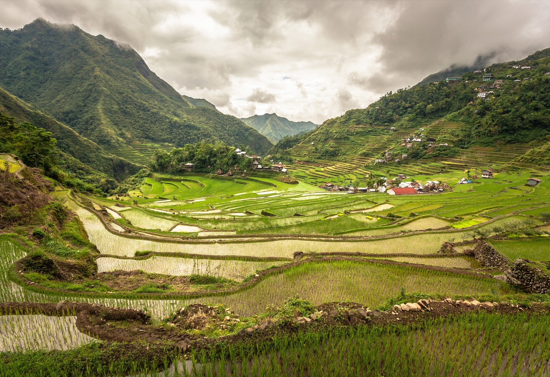 Rice Terraces of Batad, Philippines