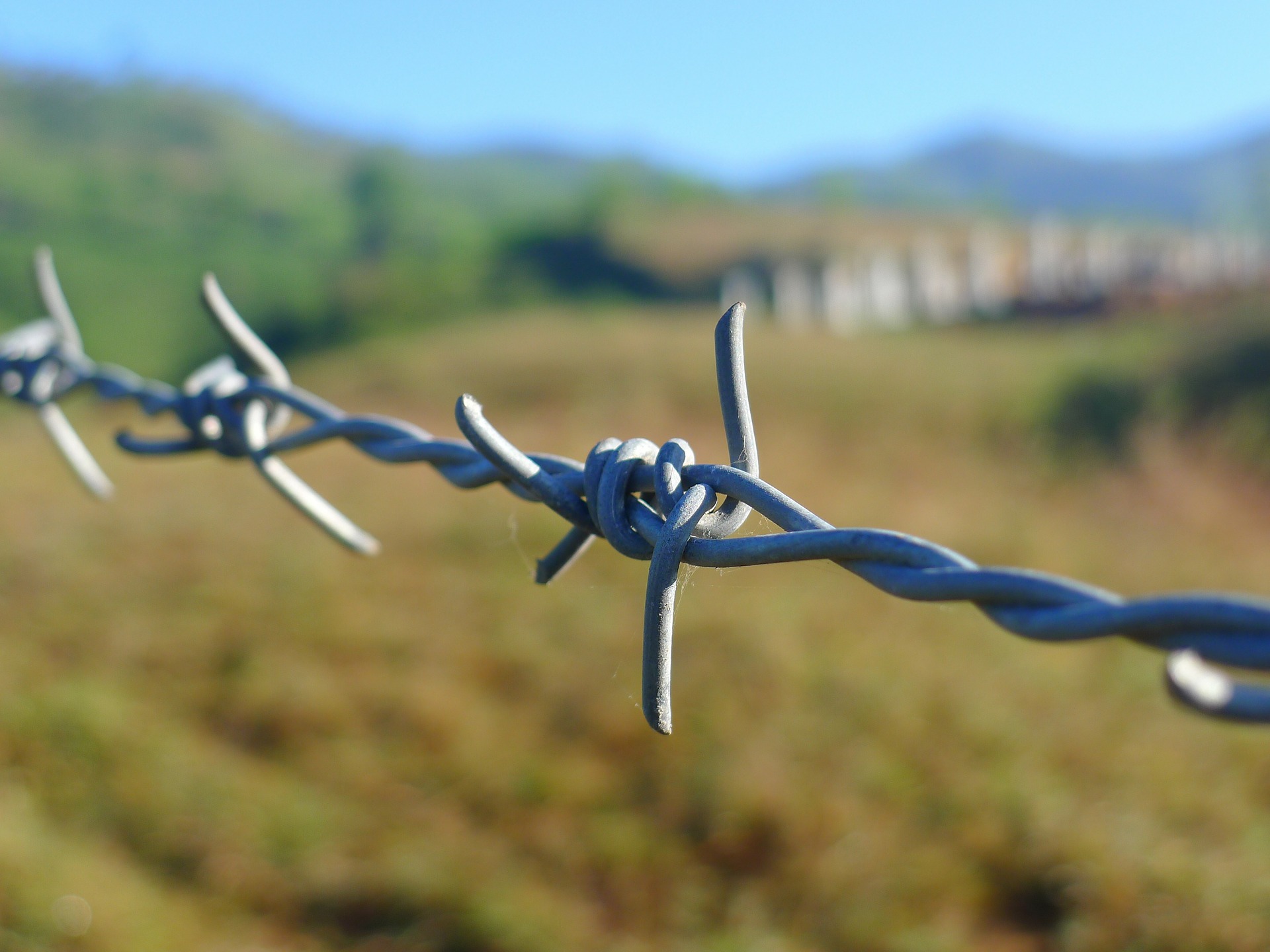 Barbed wire fencing off open land