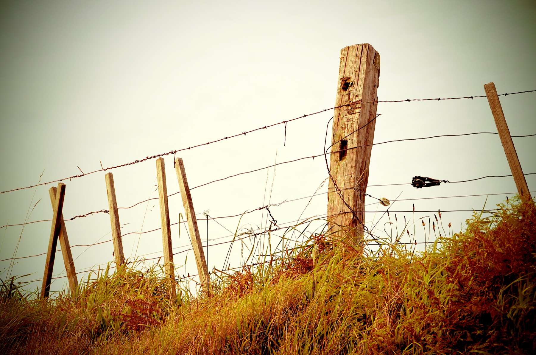 A fence dividing open grassland into private property